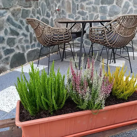 Kamila Tatrzańska Szczyrba